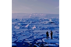 Image Image